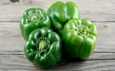 تصویر 2 از قیمت خرید فلفل دلمه‌ ای سبز با فروش عمده